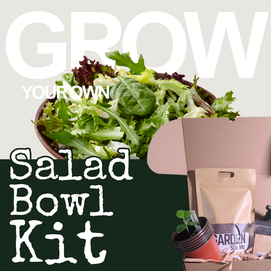 Grow your own Salad Kit