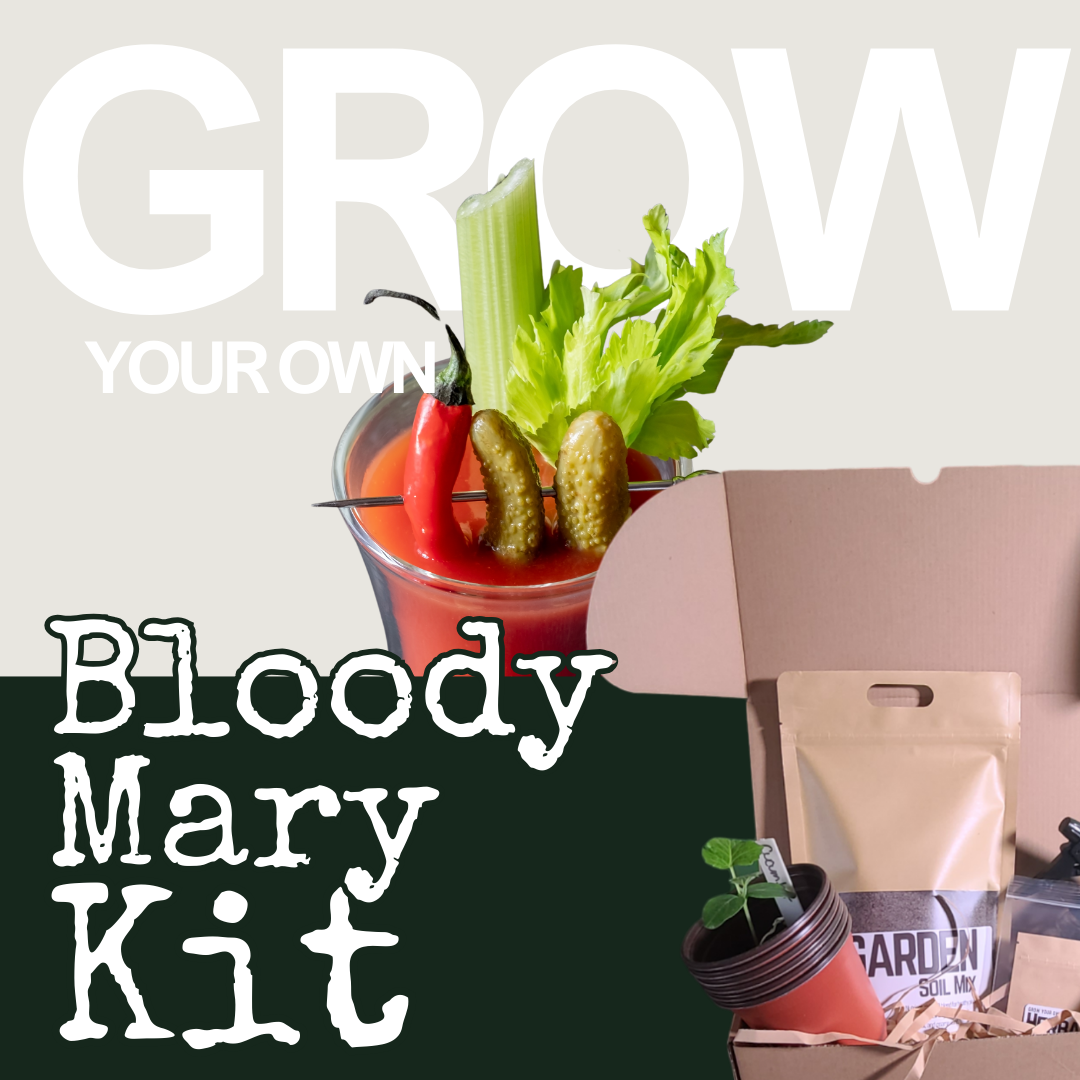 Grow your own Bloody Mary Kit