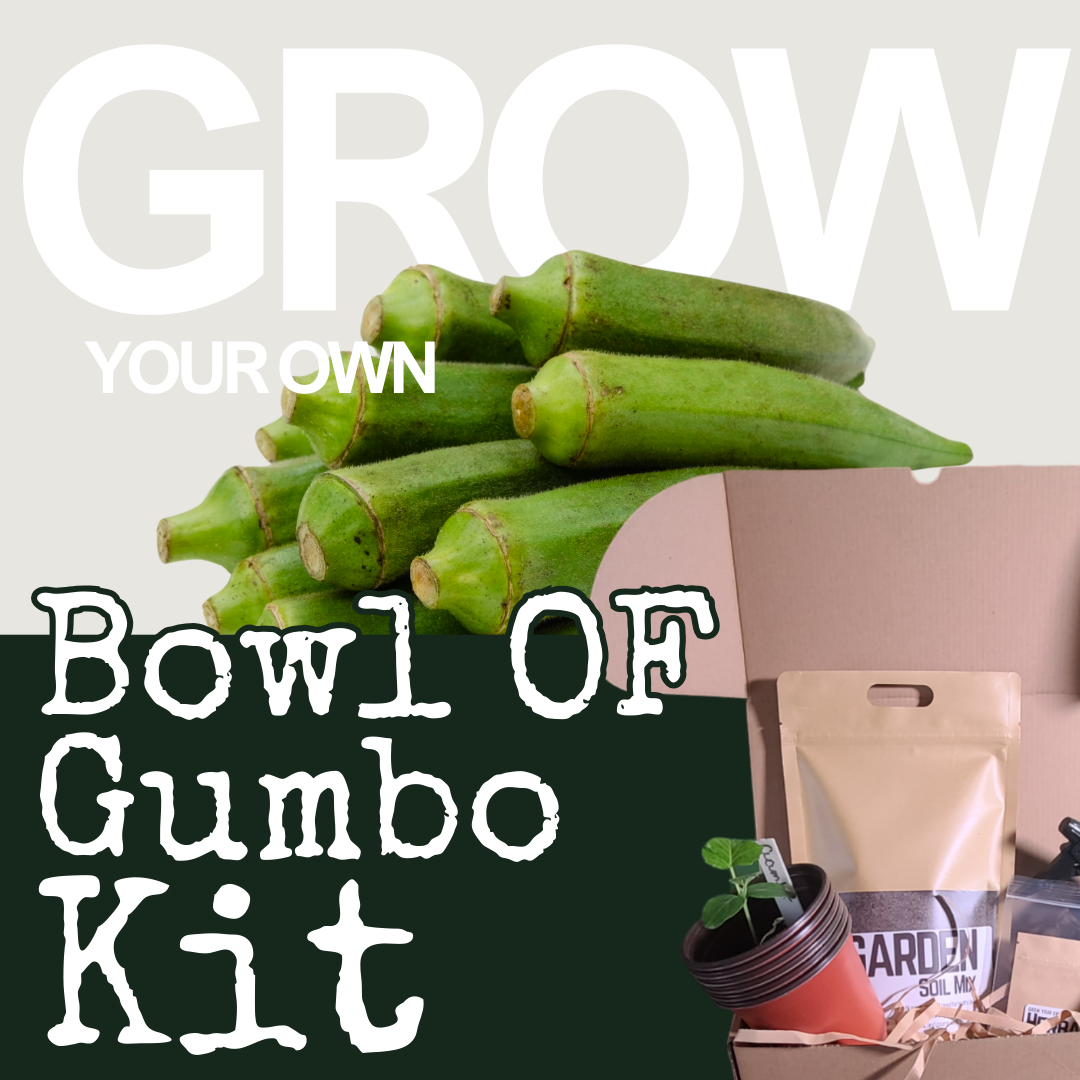 Grow your own Gumbo Kit