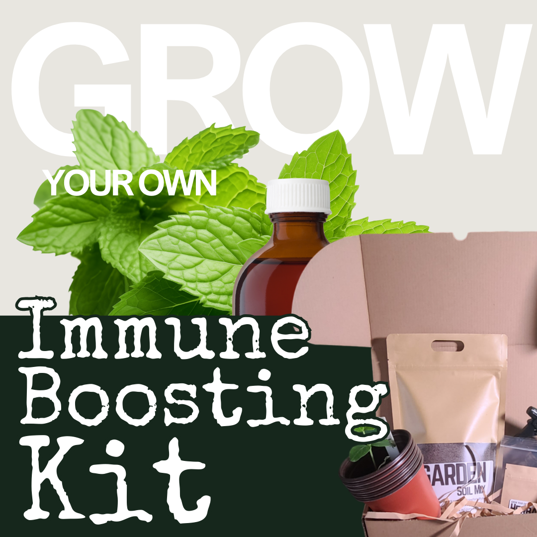 Grow your own Immune Boosting Kit