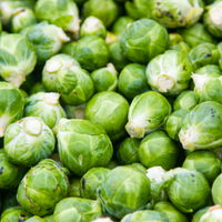 Brussels Sprouts Seeds