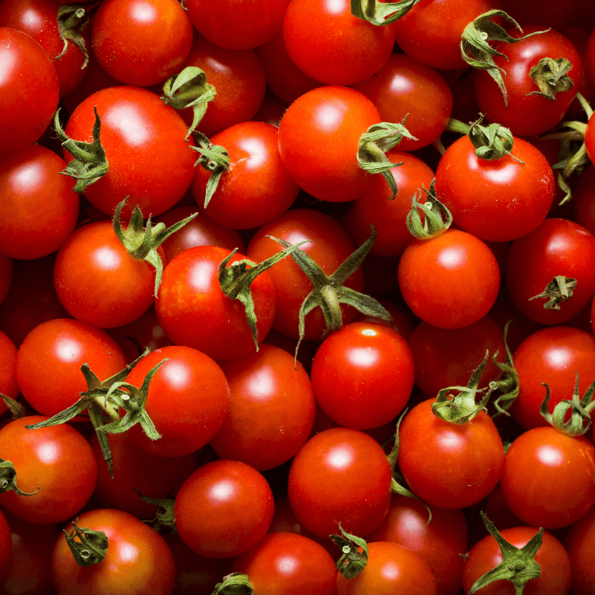 Cherry Tomatoes-Sweet Aperitif - Hasty Roots