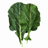 Collard Greens-Top Bunch - Hasty Roots